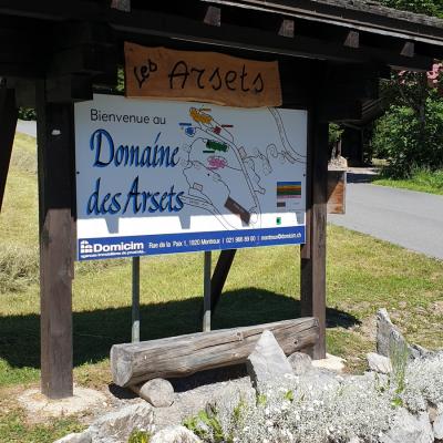Entrée et arrêt de bus